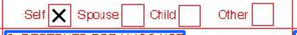 relationship to insured checkboxes, detected